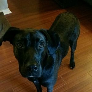 Meet your Posher, Teresa